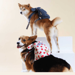 Touchdog Rabbit Ears Picnic Bag – Green