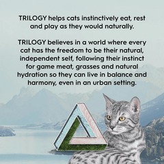 Trilogy Barramundi & Tuna Adult Dry Cat Food 1.8kg