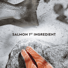 Trilogy Salmon Adult Dry Cat Food 1.8kg