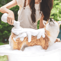 Uah Pet FUR-EVER CLEAN Automatic Foaming Soap Dispenser and Dog Bath Brush