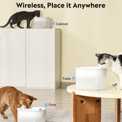 Uah Pet GLOW Wireless Automatic Pet Water Fountain