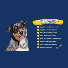 Walter & Eddy's Dog Wellness Water Joints + Gut Health 1L