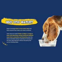 Walter & Eddy's Dog Wellness Water Joints + Gut Health 1L