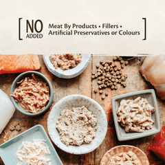 Wellness CORE Tiny Tasters Flaked Tuna & Salmon Recipe in Broth Wet Cat Food 50g