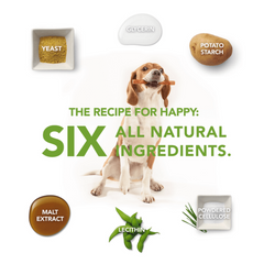 WHIMZEES Toothbrush Dental Dog Chews