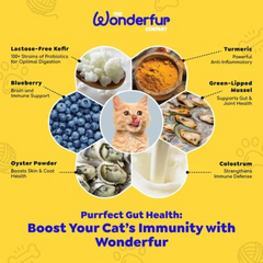 Wonderfur Freeze-Dried Yogurt Bites Immune Booster Cat Treats 50g