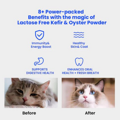 Wonderfur Freeze-Dried Yogurt Bites Immune Booster Cat Treats 50g