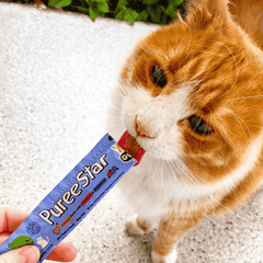 YumGuard Puree Star Chicken with Cranberry & Blueberry Cat Treat 6x14g
