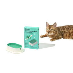 ZODIAC Soilless Wheatgrass Growing Kit – Green