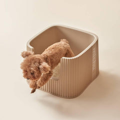Michu XXL Container Cat Litter Box with Scoop