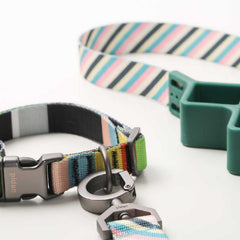 Pidan Dog Collar Adjustable Collar A3