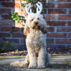 Rosewood Christmas Metallic Antlers