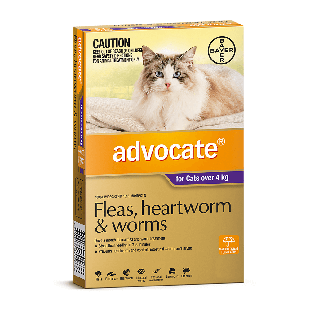 Advocate Spot-on Flea and Worm Treatment for Cats over 4 kg 3pk