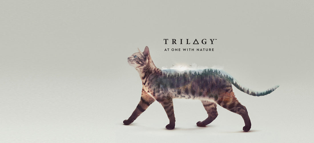 Trilogy