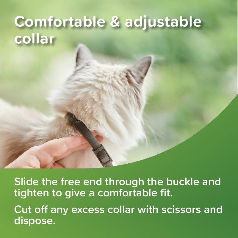 Beaphar VETOpure Flea & Tick Collar Green with Cat