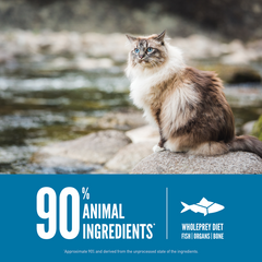 ORIJEN Six Fish Recipe Cat Dry Food