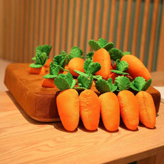 Pikapet Pet Carrot Toy