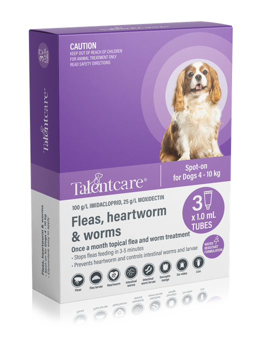 Talentcare Spot-on Flea and Worm Treatment for Dogs 4 – 10kg 3pack