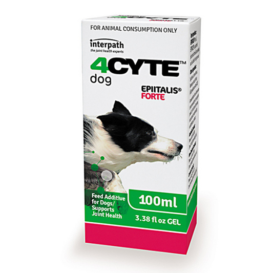 4CYTE Epiitalis Forte Gel for Dogs 100ml