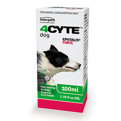 4CYTE Epiitalis Forte Gel for Dogs 100ml