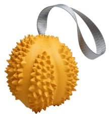 PETOPIA Ultra Tough Dog Toy Durable Durian Medium