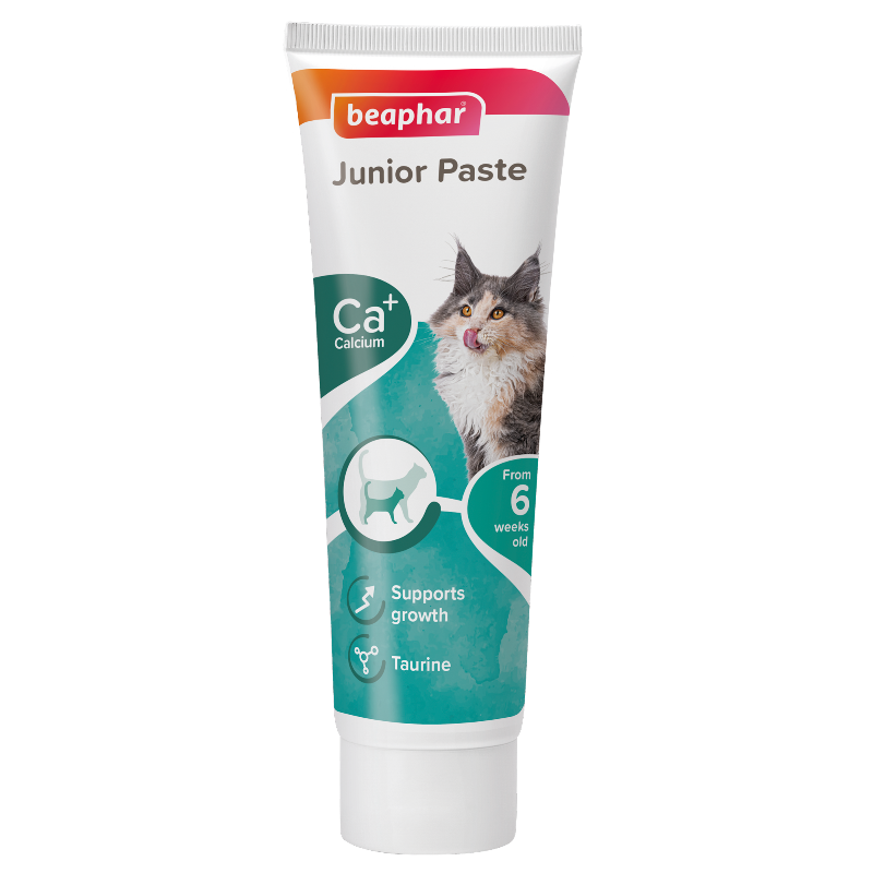 Beaphar Duo Active Paste For Junior Cat 100g