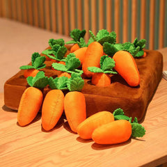 Pikapet Pet Carrot Toy