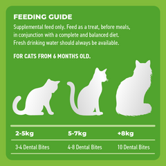 Bell & Bone Dental Bites for Cats - Chicken & Blueberries