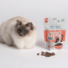 Bell & Bone Dental Bites for Cats - Salmon & Charcoal