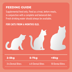 Bell & Bone Dental Bites for Cats - Salmon & Charcoal