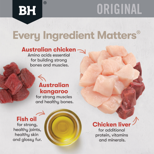 Black Hawk Grain Free Adult Dry Cat Food Chicken And Kangaroo