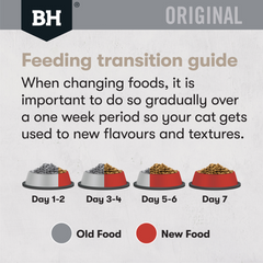 Black Hawk Grain Free Adult Dry Cat Food Chicken And Kangaroo