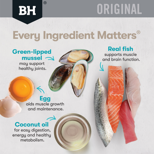 Black Hawk Original Adult Dry Cat Food Ocean Fish