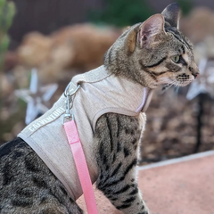 Cat Harness Australia Catventure - Escape Proof Cat Harness - Natural