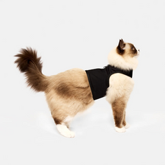 Cat Harness Australia Catventure - Escape Proof Cat Harness - Black