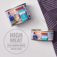 Feline Natural Premium Cat Wet Food Can 85g