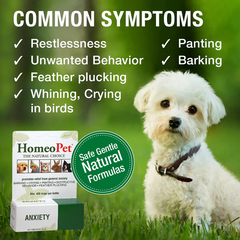 HomeoPet Anxiety