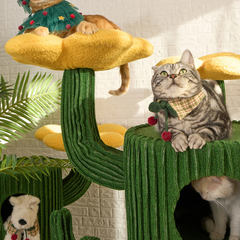 Honeypotcat Luxe Cactus Bloom Cat Tree - Green 162cm - Shipping Only