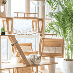 Honeypotcat Monaco Elite Cat Estate - 195cm - Shipping Only
