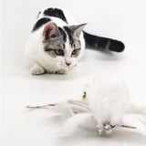 Pikapet Feather Teaser Cat Toy