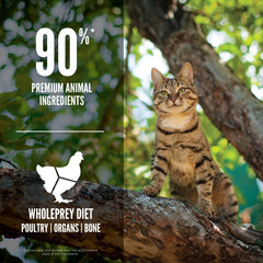 ORIJEN Guardian Senior Cat Dry Food