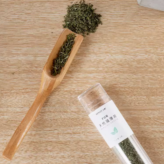 PETKIT FUN Natural Catnip Catmint Catgrass