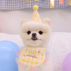 Pikapet INS Dog Cat Birthday Bib and Hat Set