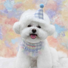 Pikapet INS Dog Cat Birthday Bib and Hat Set