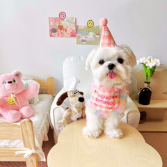 Pikapet INS Dog Cat Birthday Bib and Hat Set