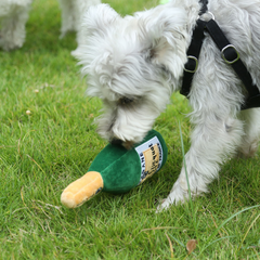 Pikapet Bottle Squeezing Dog Toy