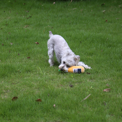 Pikapet Bottle Squeezing Dog Toy