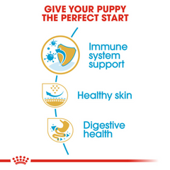 Royal Canin Pug Puppy Dry Dog Food