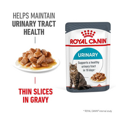 Royal Canin 猫用尿道护理湿粮 12 x 85g