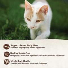 Wellness CORE Grain Free Turkey and Duck Dry Cat Food 2.27kg